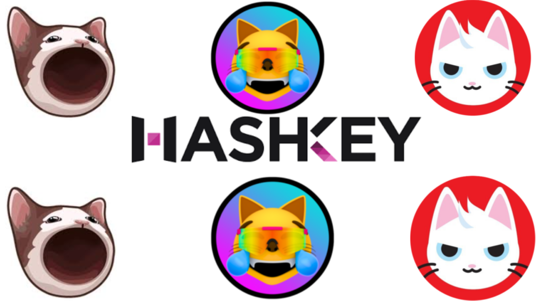 Hashkey Global Dives into Meme Coin Market, Launches 3 New Perpetual Contracts