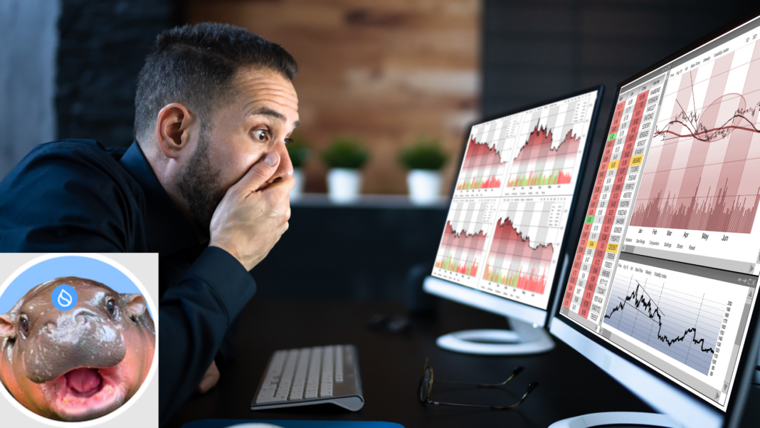 Trader Misses Out On $30M Profit After Selling HIPPO Tokens For Just $7.5K