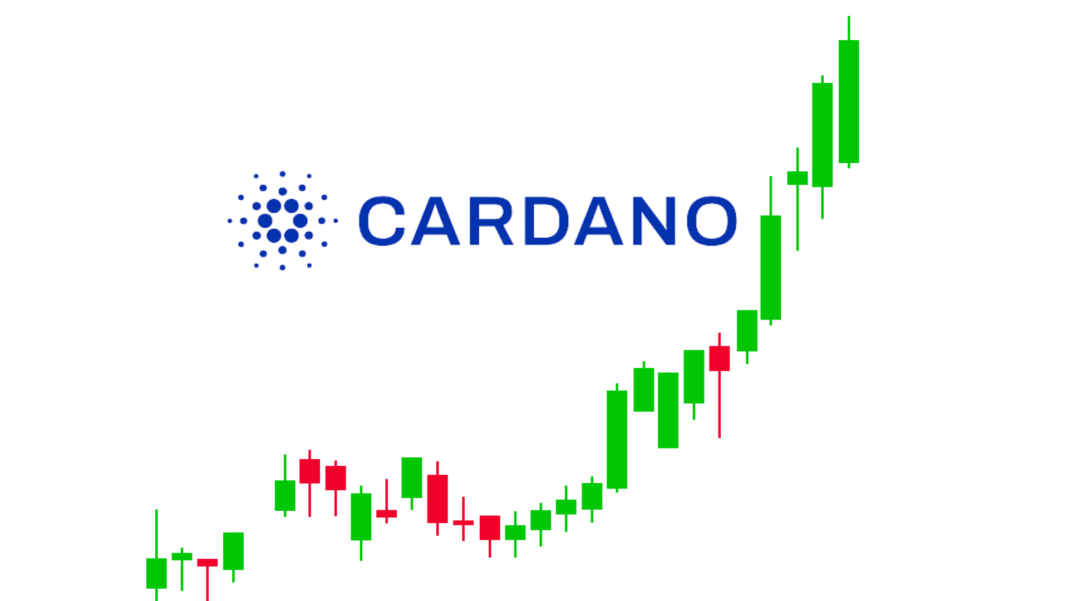 cardano price rise