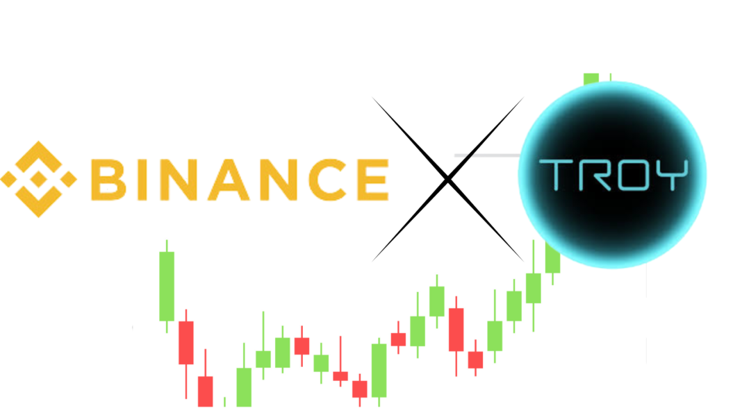 Binance Troy Token