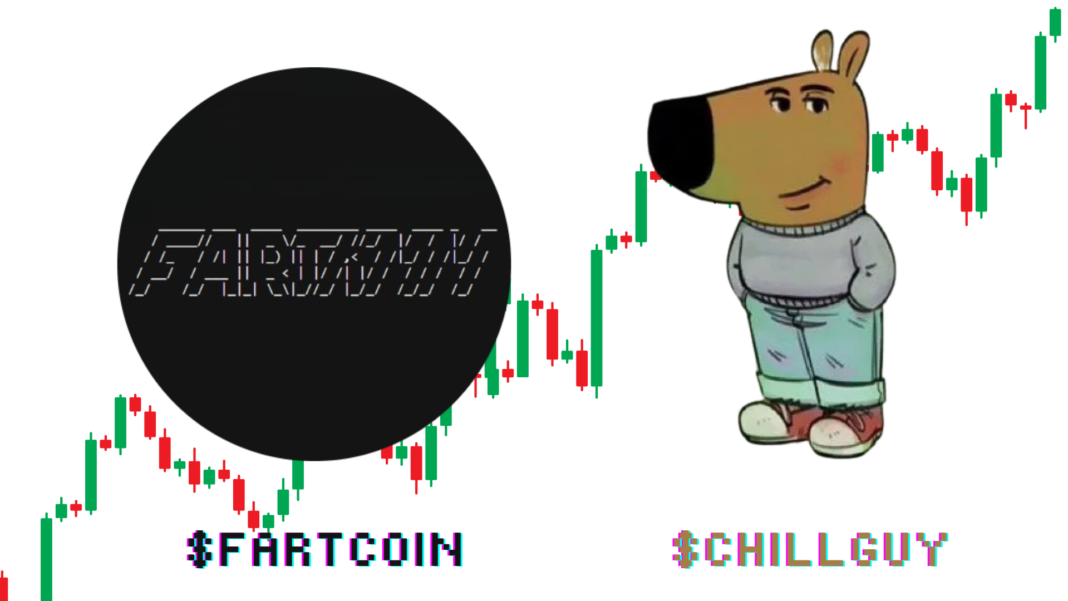 CHILLGUY and FARTCOIN