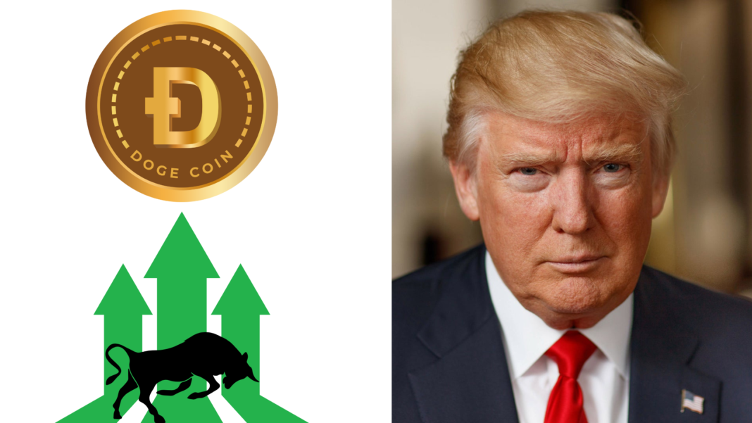 Dogecoin bull market trump