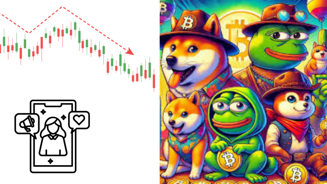 Influencer Marketed Memecoins Mostly Loose Value