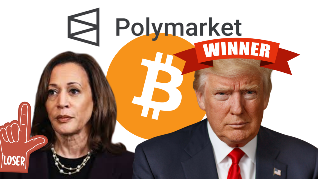 Polymarket biggest winners and biggest losers
