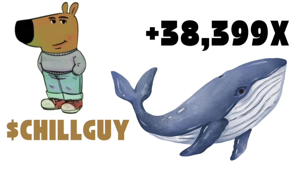 Whale makes 38,399x profit on CHILLGUY