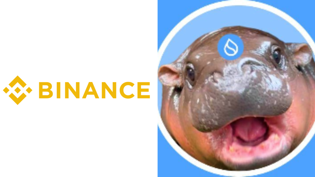 binance list Hippo
