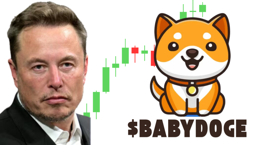 BABYDOGE surges after Elons Post