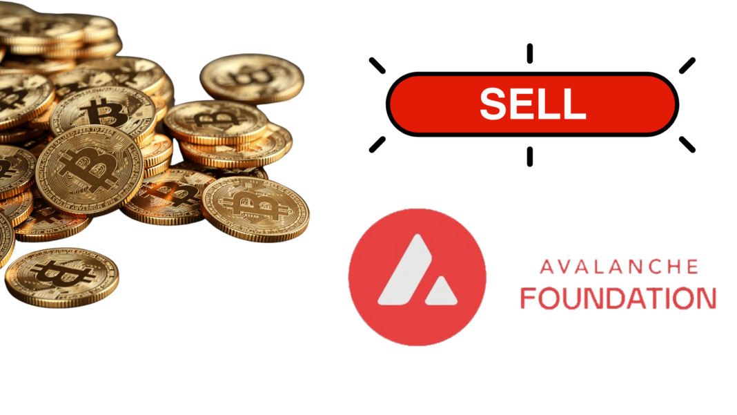 Blockchain Firm Avalanche Foundation Secures $250 Million in Private Token Sale