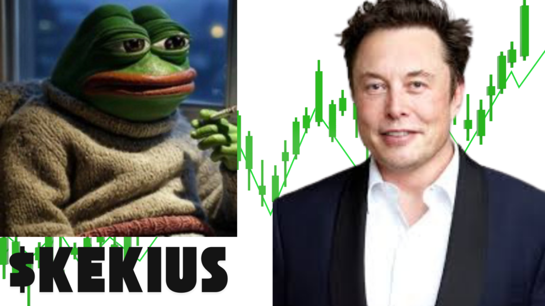 Elon Musk's Kekius Maximus Profile Change Triggers 27,550% Rally in KM Token, Trader Makes 158x on $KM