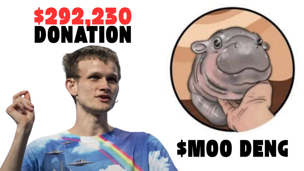 Ethereum Co-Founder Vitalik Buterin Donates $292,230 Thailand's Khao Kheow Zoo For MOODENG Exhibition