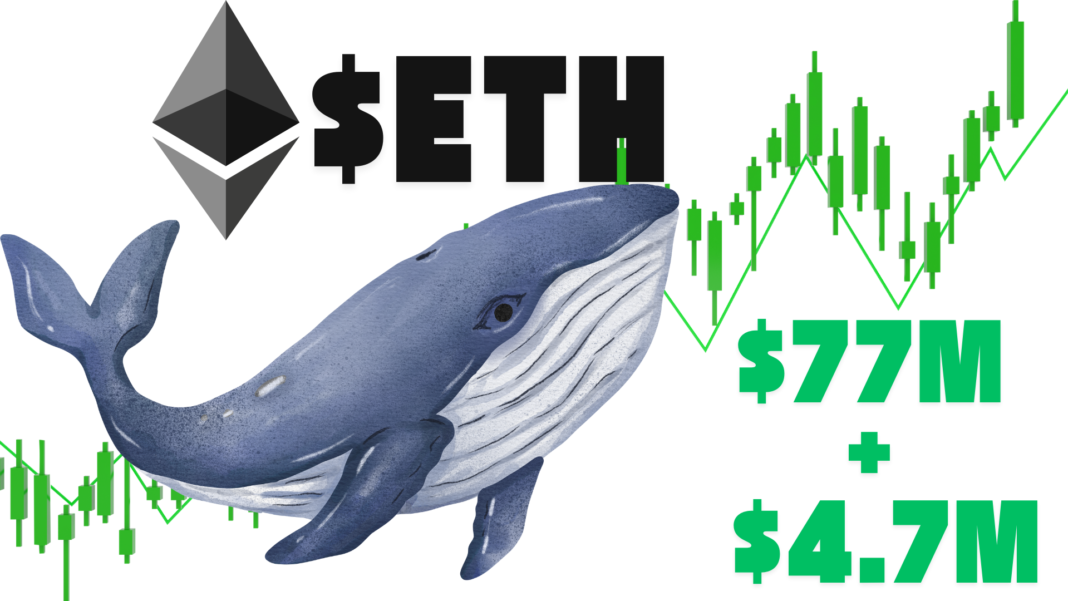 Ethereum Whale With 84% Win Rate Buys 22,919 ETH Worth $77M For Swing Trading, Is This An Indicator for ETH Price Rise Ahead