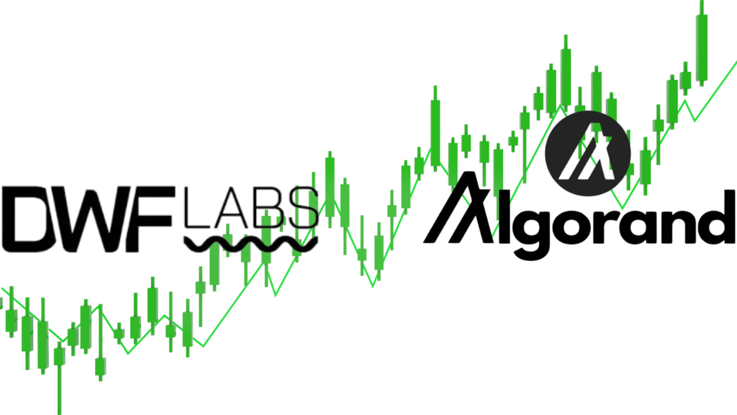 DWF labs algo