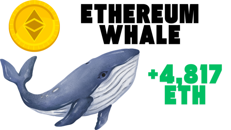 Bullish Ethereum Investor Accumulates 4,817 ETH Worth $14.9M During Market Dip, Despite $5.9M Unrealized Loss