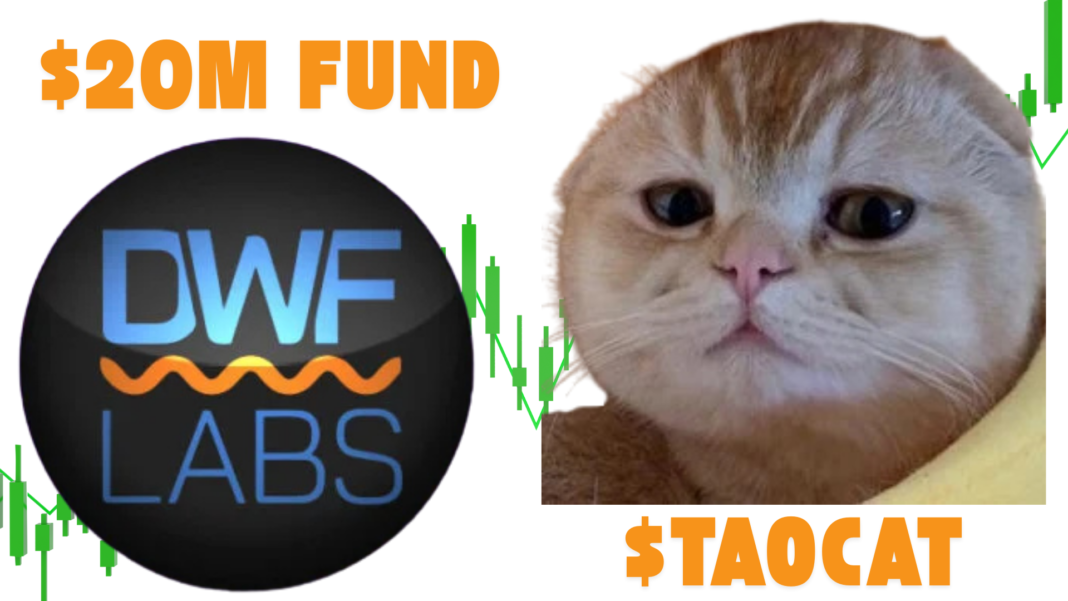 DWF Labs Invests in TAO Cat Through $20M AI Fund, TAOCAT Surges 16%