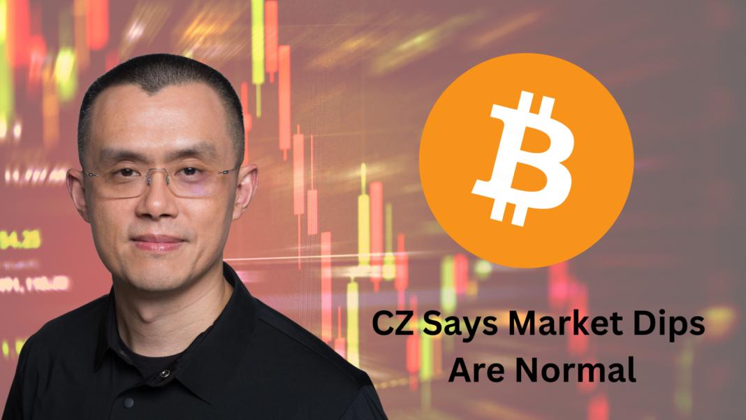 CZ Says Market Dips Are Normal