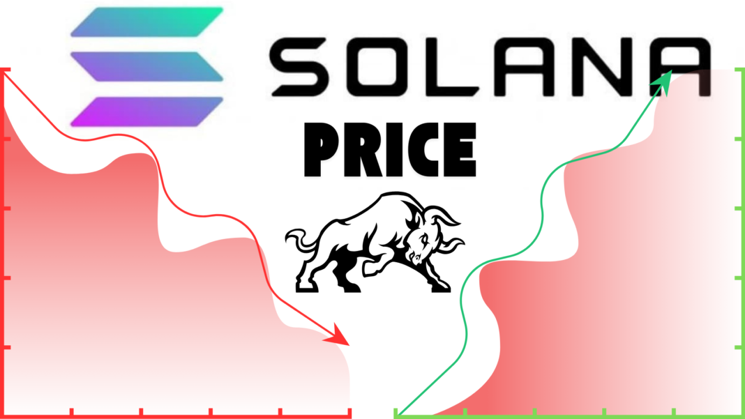 Crypto Analyst Predicts Solana Could Face Significant Price Decline to $65 if Key $130 Support Level Fails