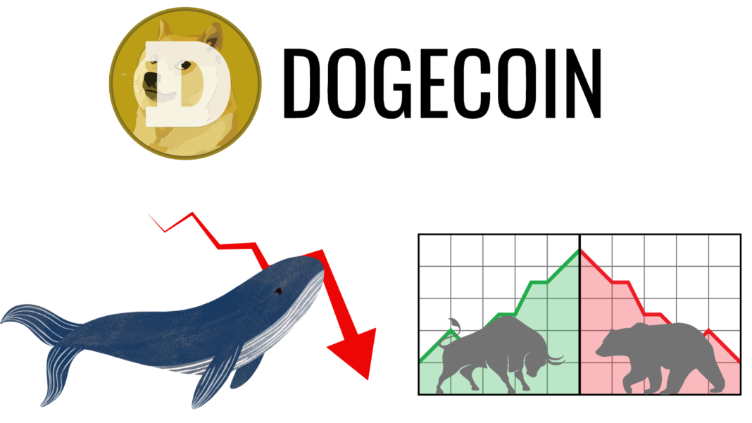 Dogecoin's Whale Activity Sees 88% Decline Since November: Is The Price About To Fall?