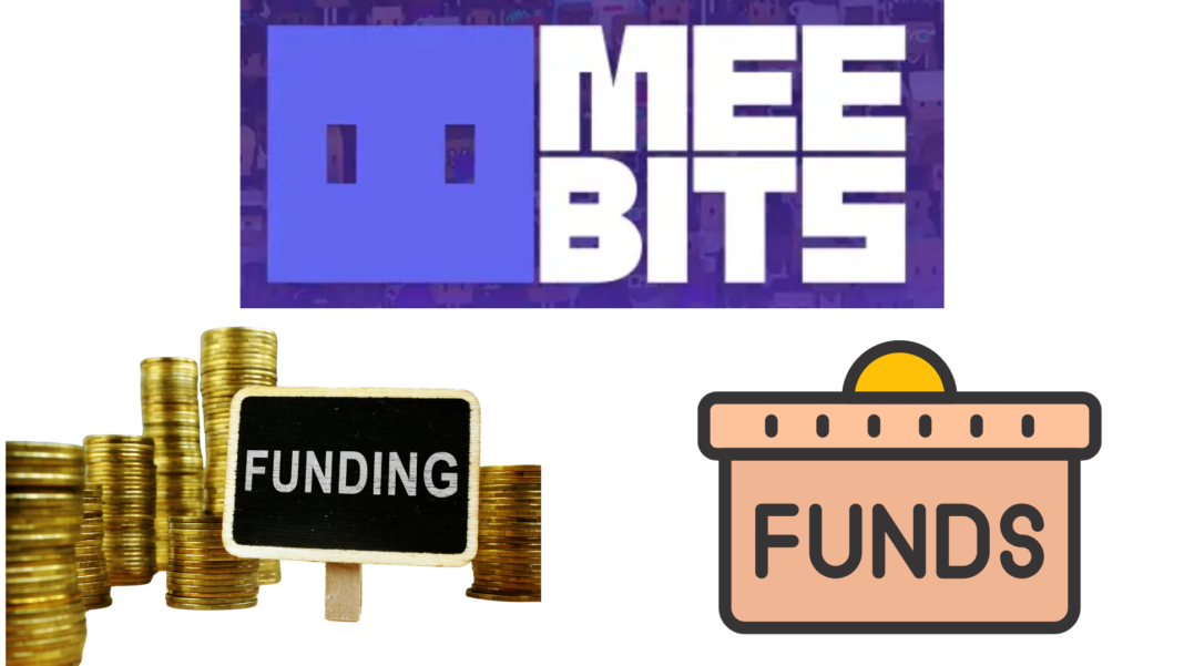 MeebCo Secures $3 Million in New Financing for Meebits NFT Project: Details Below