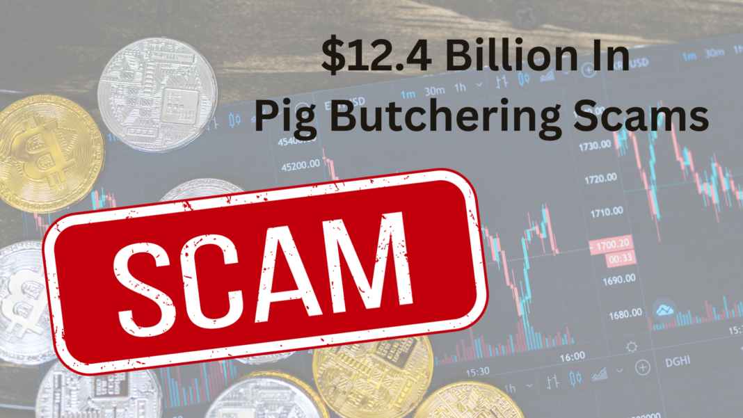 Pig butchering scam