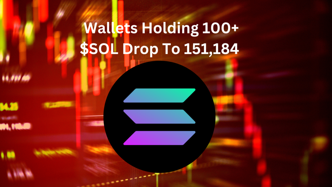 Wallets Holding 100+ $SOL Drop To 151,184