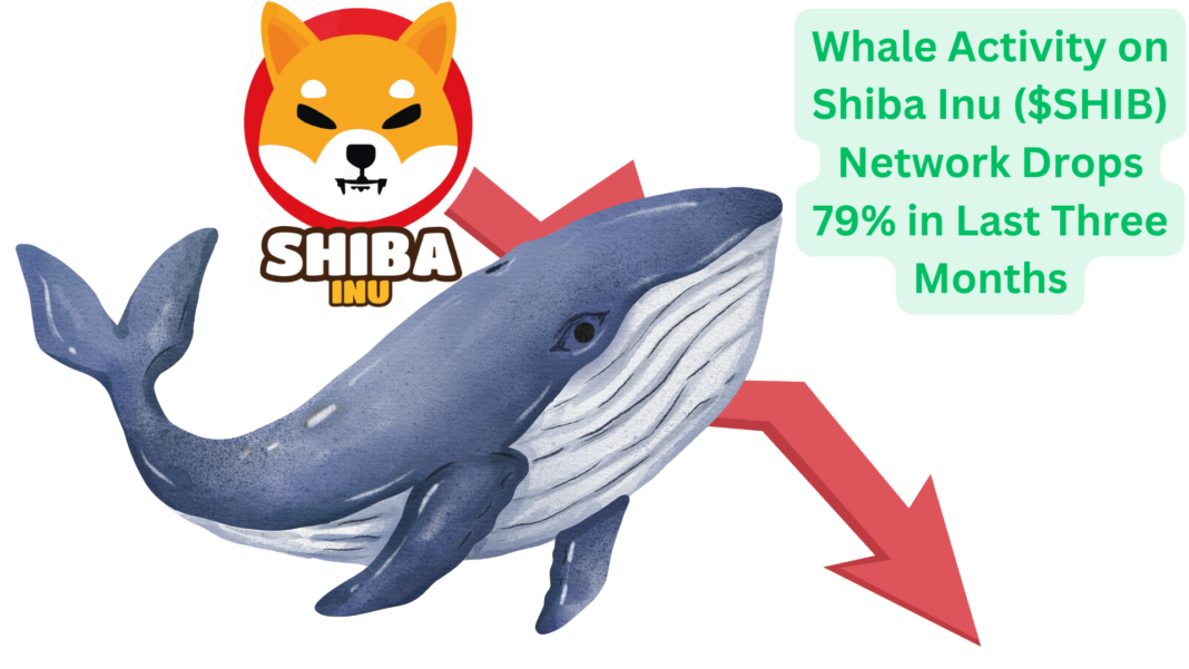 Whale Activity on Shiba Inu ($SHIB) Network Drops 79% in Last Three Months: Is a Price Drop Eminent?