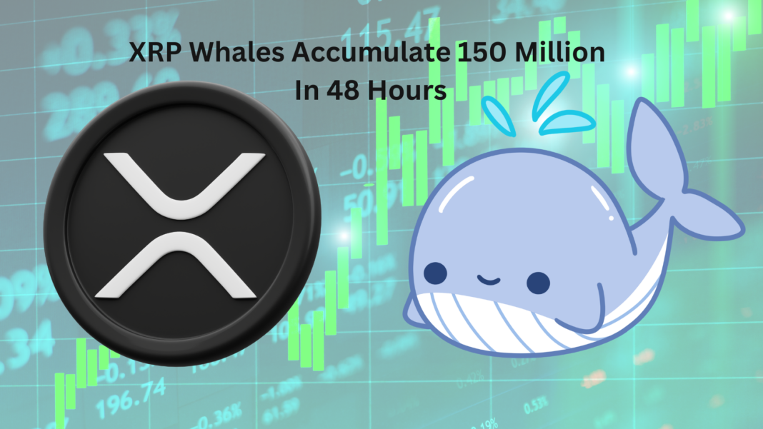 XRP Whales Accumulate 150 Million In 48 Hours (1)