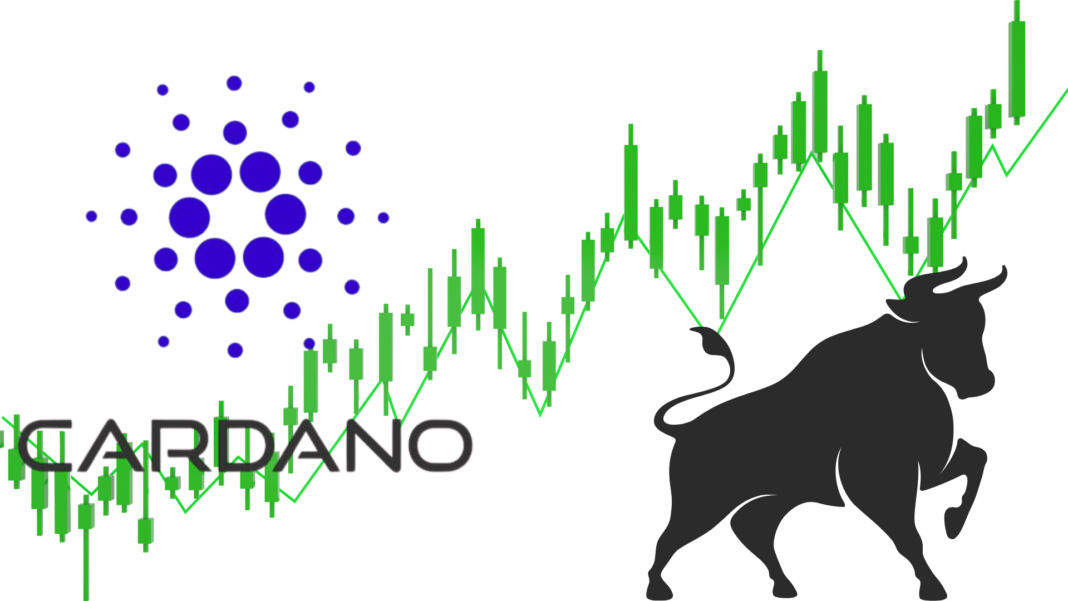 Cardano 40% rally