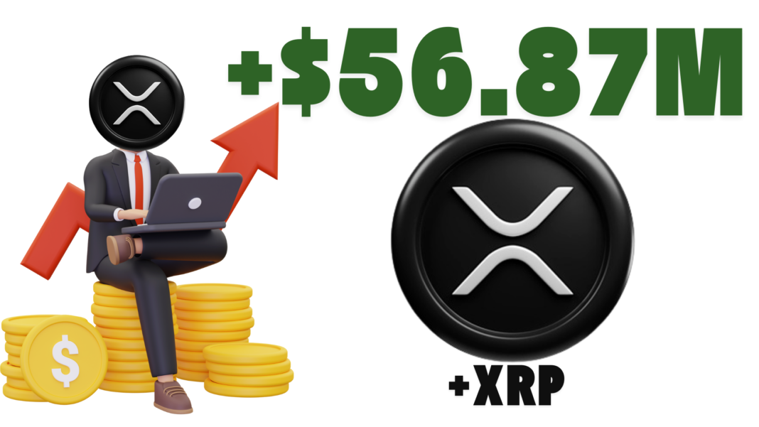 Crypto Investor Makes $56.87M Profit From $XRP After Offloading 26M Staked XRP After 2 Years