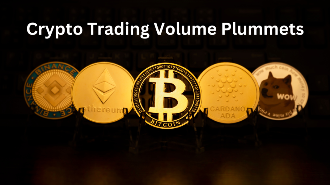 Crypto Trading Volume Plummets