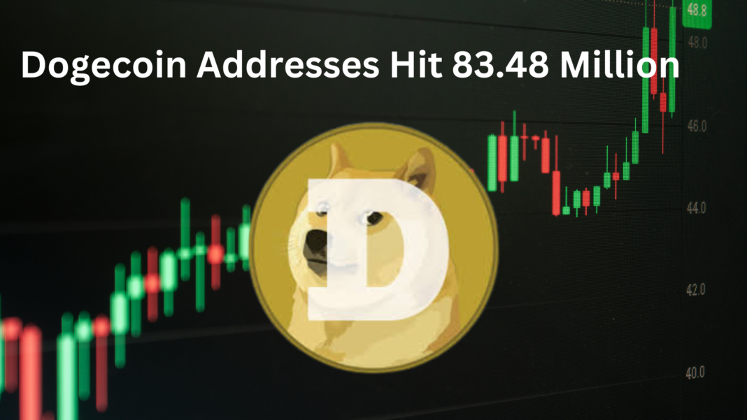 Dogecoin Addresses Hit 83.48 Million, a New All-Time High