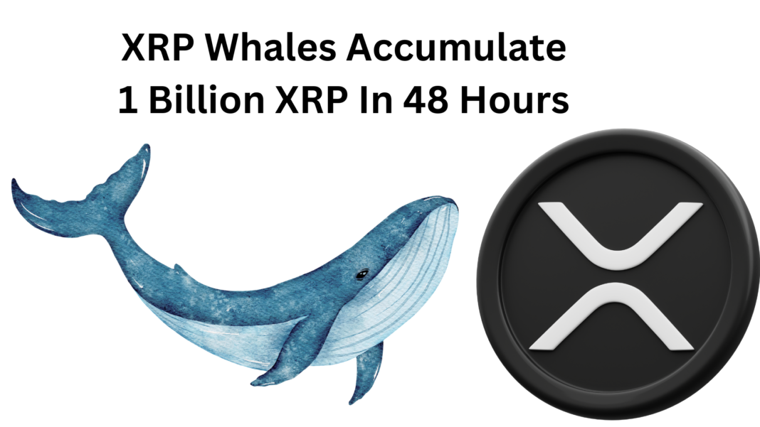 XRP Whales Accumulate 1 Billion XRP In 48 Hours