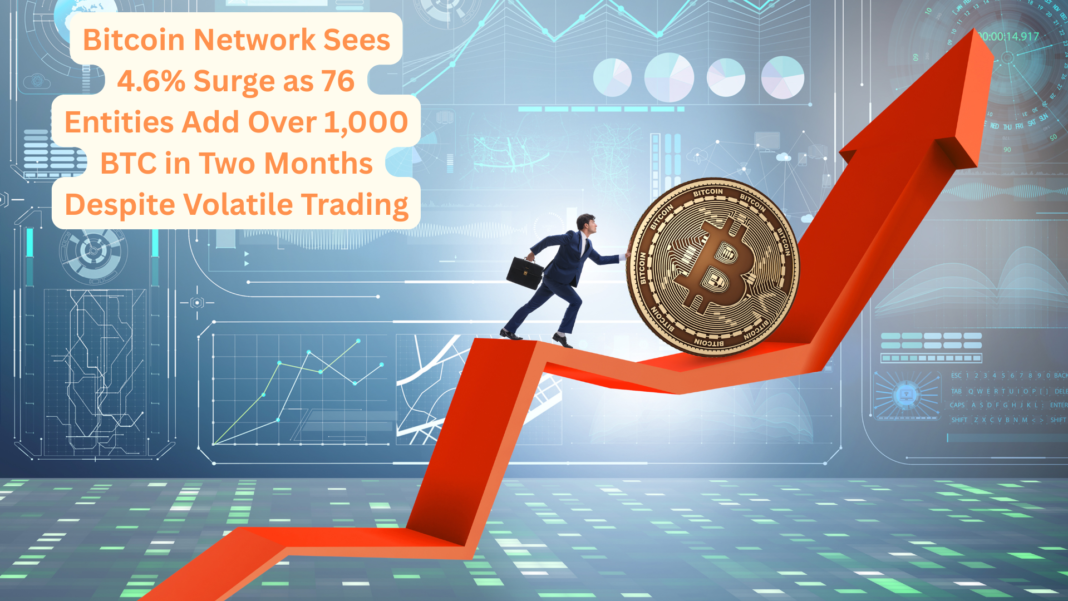 Bitcoin Network Sees 4.6% Surge as 76 Entities Add Over 1,000 BTC in Two Months Despite Volatile Trading