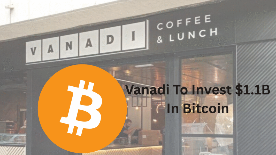 Vanadi To Invest $1.1B In Bitcoin