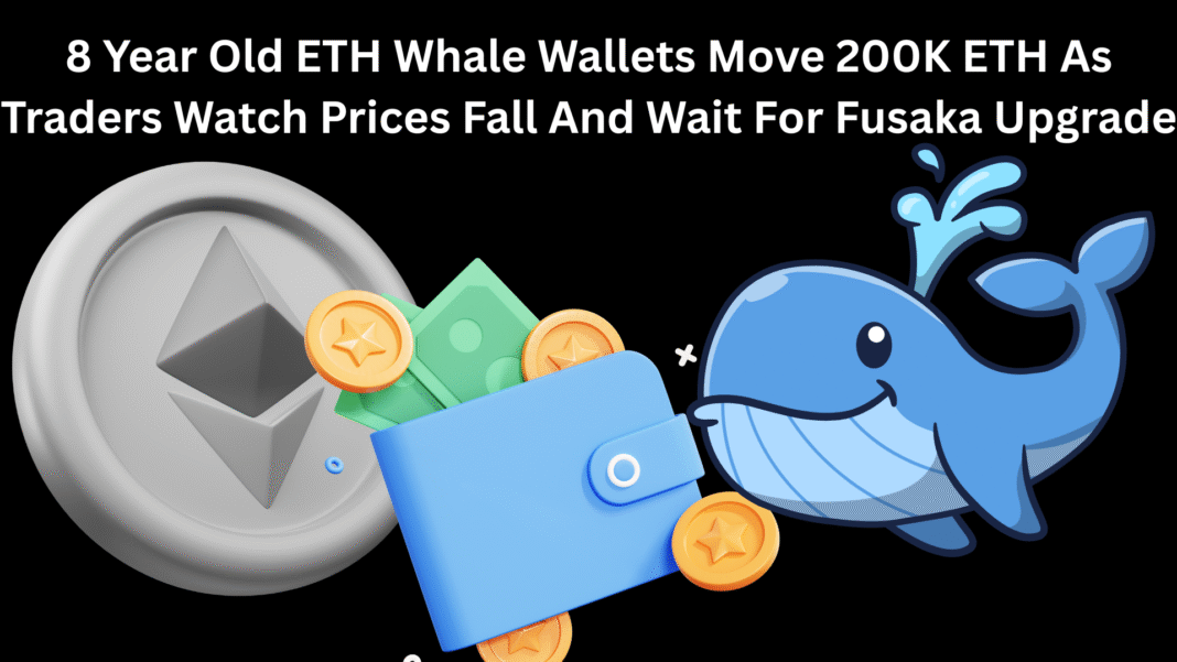 8 Year Old ETH Whale Wallets Move 200K ETH As Traders Watch Prices Fall And Wait For Fusaka Upgrade