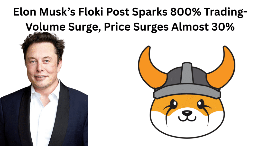 Elon Musk’s Floki Post Sparks 800% Trading-Volume Surge, Price Surges Almost 30%