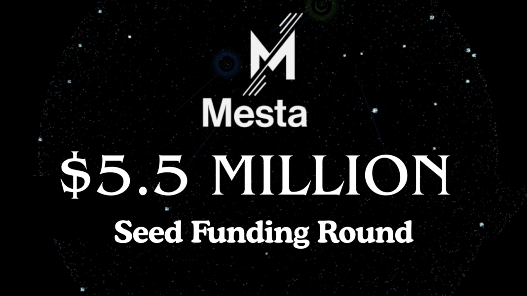 Stablecoin Payment Network Mesta Secures $5.5 Million Seed Funding Round Led By Village Global